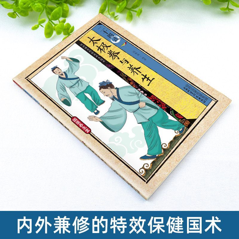 24 Stili di Tai Chi ed Eserciz - Health & Wellness Llc recensione e prezzo