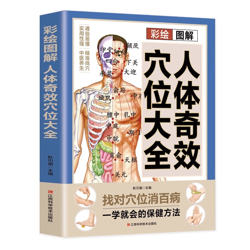 Guida al massaggio dei punti d - Health & Wellness Llc recensione e prezzo
